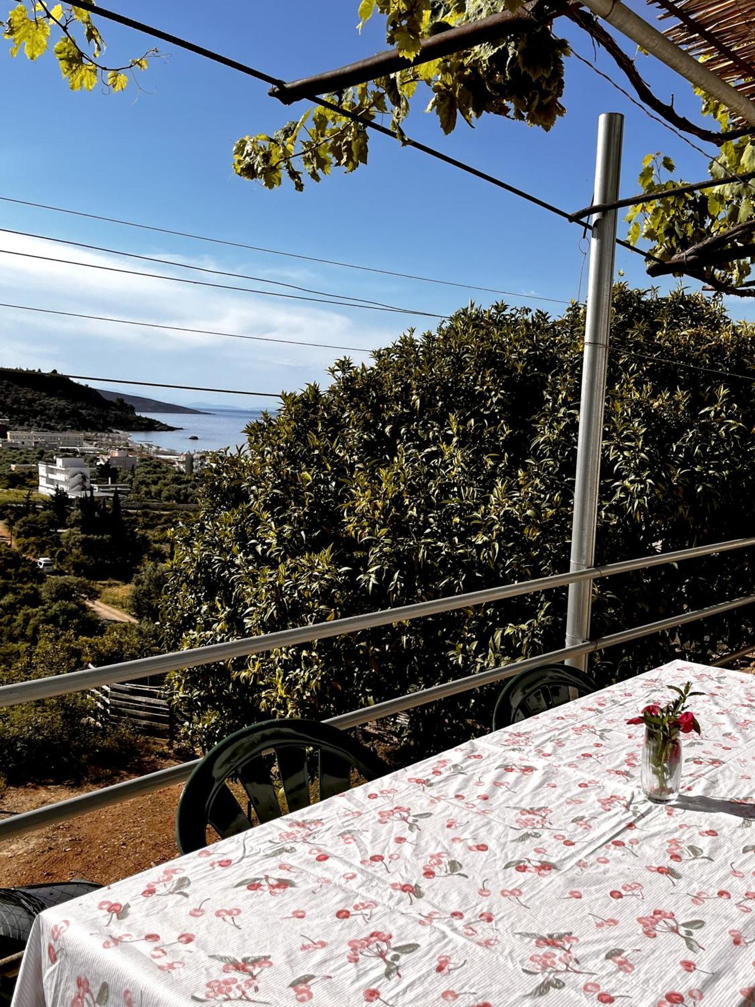 Отель Sea Horizon House Alexis Химара Экстерьер фото