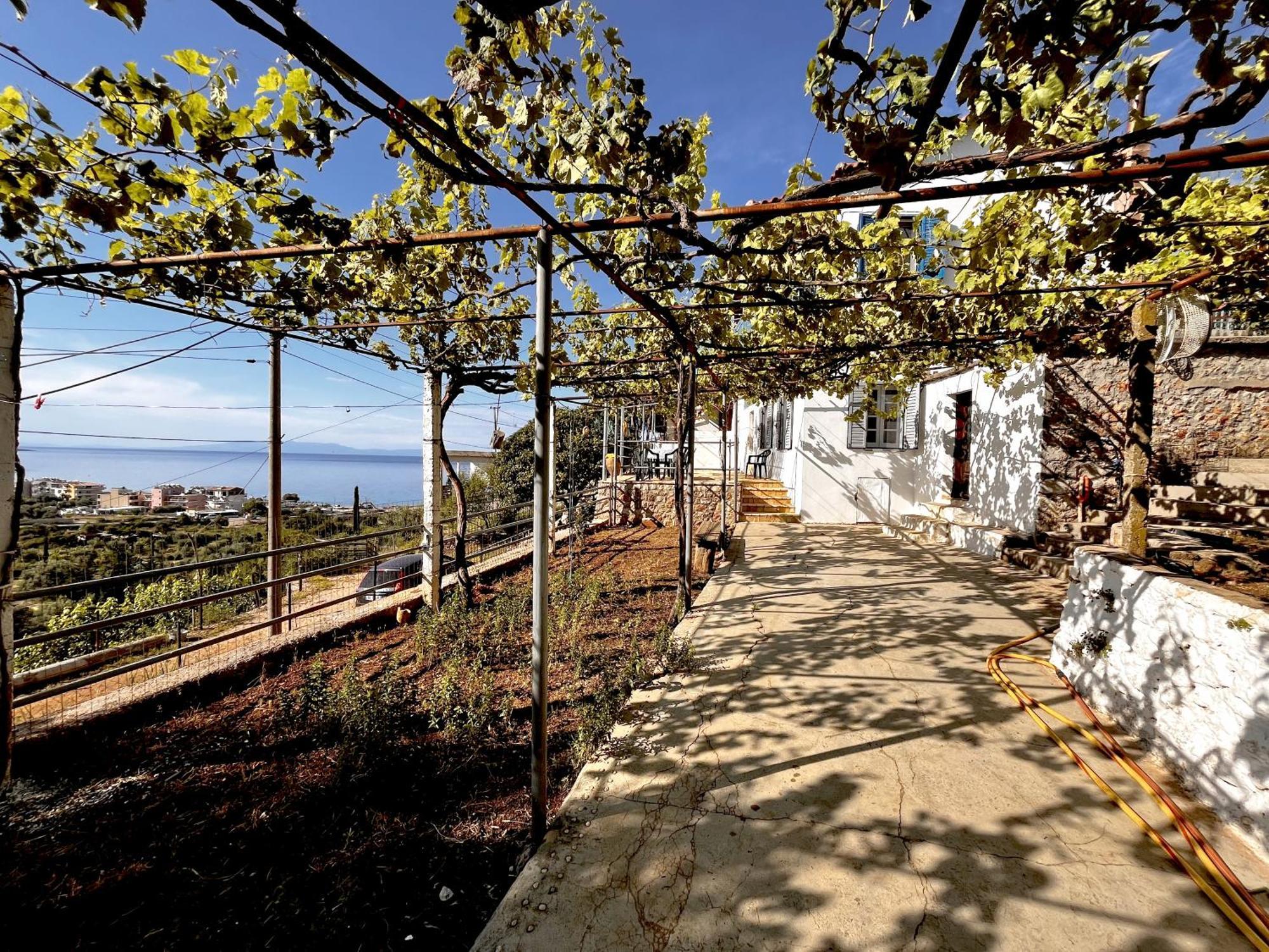 Отель Sea Horizon House Alexis Химара Экстерьер фото